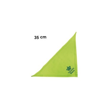 Schecker - Besticktes Halstuch, Prinzessin + Krone + Name [35cm - Kiwi]