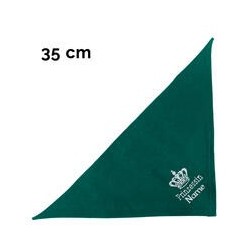 Schecker - Besticktes Halstuch, Prinzessin + Krone + Name [35cm - Petrol]