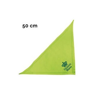 Schecker - Besticktes Halstuch, Prinzessin + Krone + Name [50cm - Kiwi]