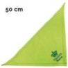 Schecker - Besticktes Halstuch, Prinzessin + Krone + Name [50cm - Kiwi]
