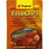 Tropical Triops - 10 g