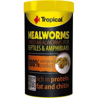Tropical Mealworms - 250 ml