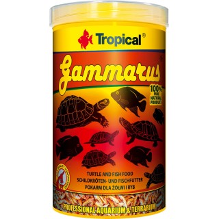 Tropical Gammarus - getrocknete Bachflohkrebse - 100 ml