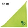 Schecker - Besticktes Halstuch, Prinzessin + Krone + Name [65cm - Kiwi]