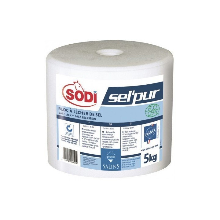 Block aus reinem Salz Sodi