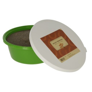 Bronchialsalzstein Pferd Delizia