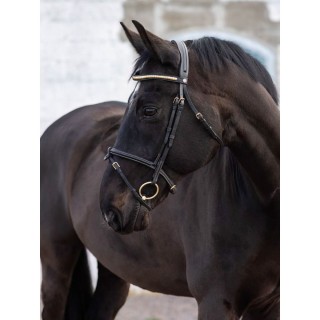 Trense Jacson California