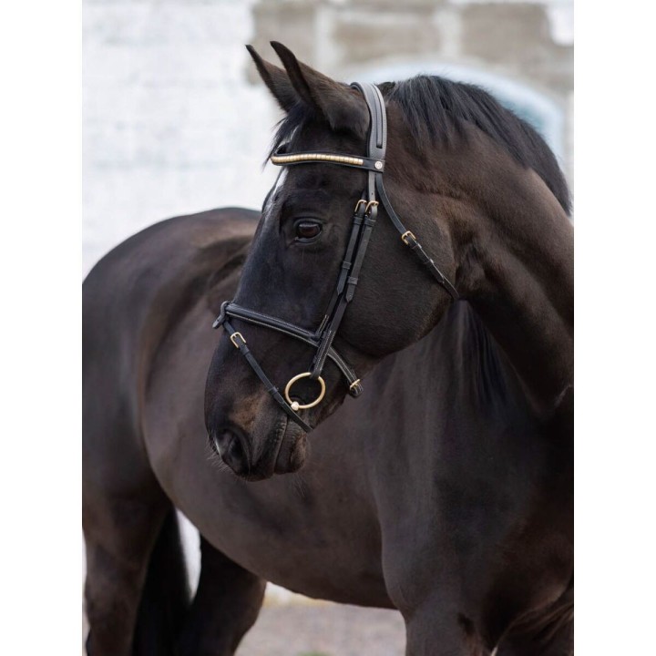 Trense Jacson California