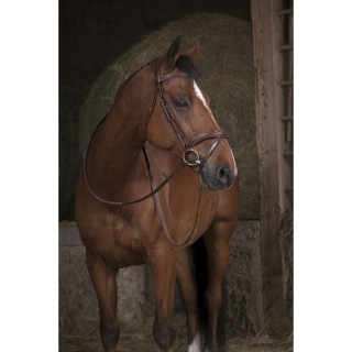 Gummizügel Norton Pro