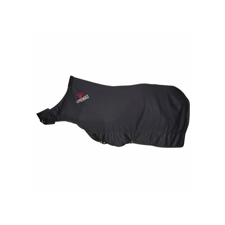 Führanlagendecke Catago FIR-tech