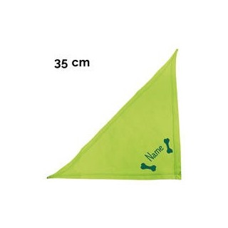 Schecker - Besticktes Halstuch 2 Knochen + Name [35cm - Kiwi]
