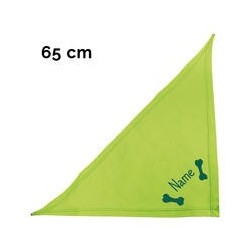 Schecker - Besticktes Halstuch 2 Knochen + Name [65cm - Kiwi]