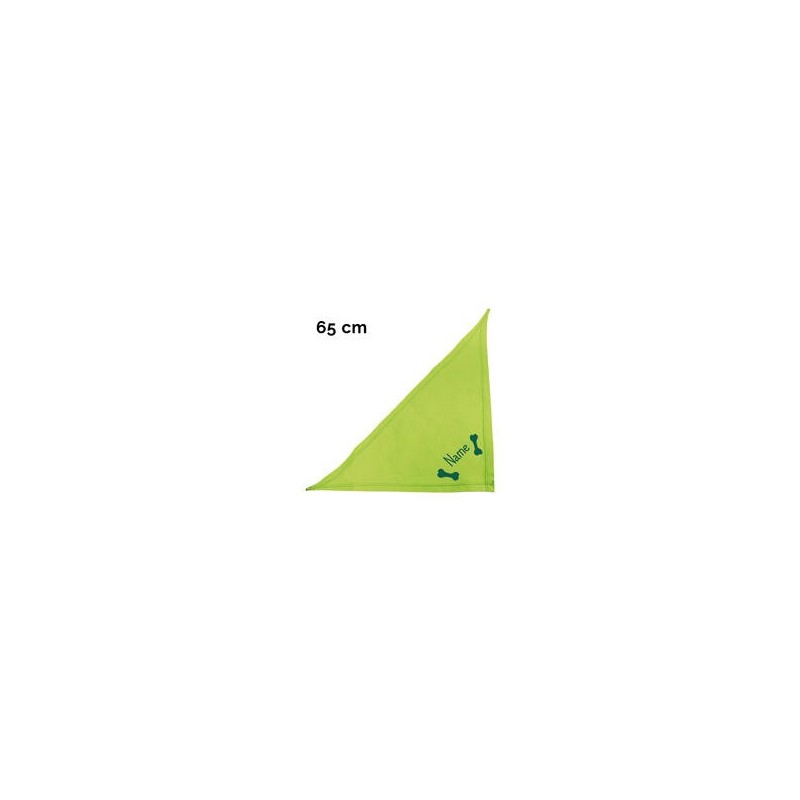 Schecker - Besticktes Halstuch 2 Knochen + Name [65cm - Kiwi]
