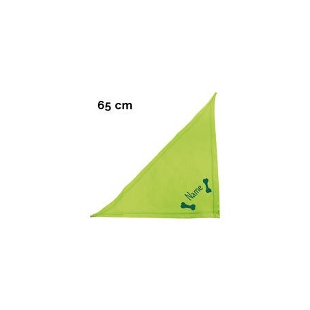 Schecker - Besticktes Halstuch 2 Knochen + Name [65cm - Kiwi]
