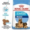 ROYAL CANIN MAXI Starter für tragende Hündin und Welpen 15 kg