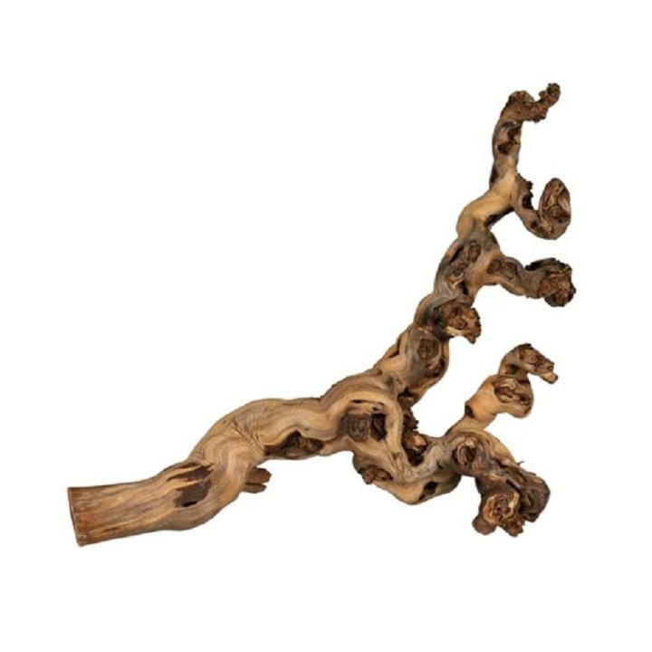 TRIXIE Weinrebe M (30-40cm) 1 Stück