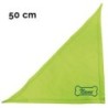 Schecker - Besticktes Halstuch Knochen + Name [50cm - Kiwi]
