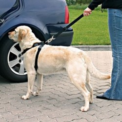 TRIXIE Autosicherheitsgurt für Hund L