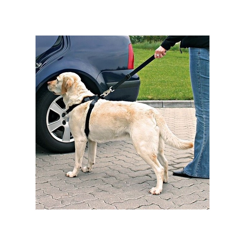 TRIXIE Autosicherheitsgurt für Hund L