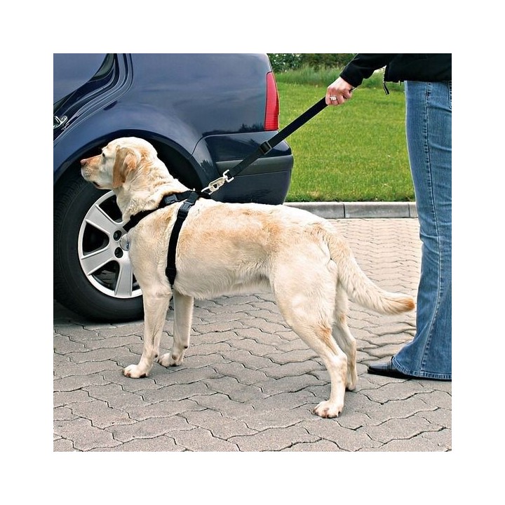 TRIXIE Autosicherheitsgurt für Hund L