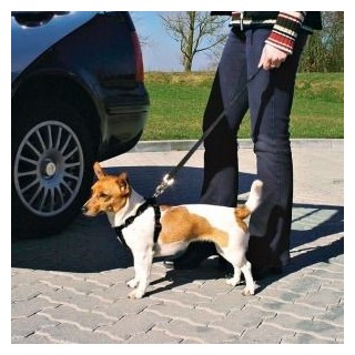 TRIXIE Autosicherheitsgurt für Hund M