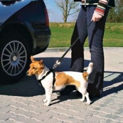 TRIXIE Autosicherheitsgurt für Hund M