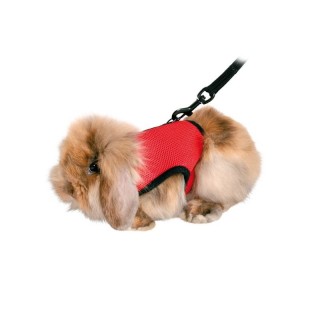 TRIXIE Geschirr mit Leine für Meerschweinchen