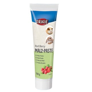 TRIXIE Malzpaste für Nager mit Erdbeergeschmack 100 g