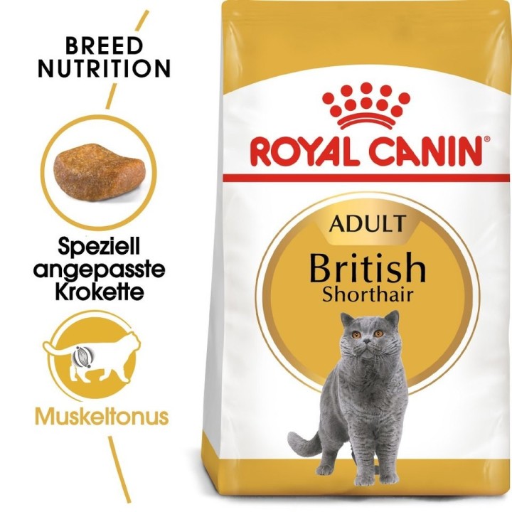 ROYAL CANIN British Shorthair Katzenfutter trocken für Britisch Kurzhaar 4 kg