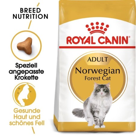 ROYAL CANIN Norwegian Forest Cat Adult Trockenfutter für Norwegische Waldkatzen 2 kg