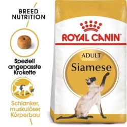 ROYAL CANIN Siamese Adult Katzenfutter trocken 2 kg