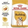 ROYAL CANIN Bulldog Adult Hundefutter trocken 12 kg