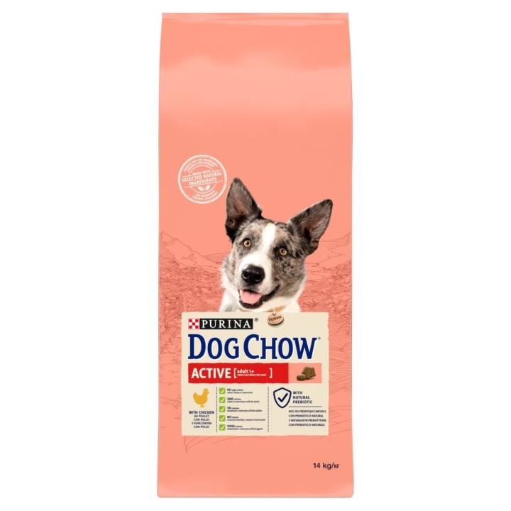PURINA Dog Chow active chicken 14 kg Huhn
