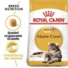 ROYAL CANIN Maine Coon Adult Katzenfutter trocken 10 kg