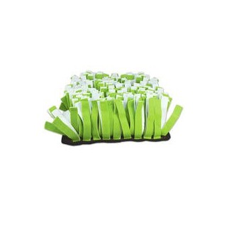 Schecker - Procyon - Schnüffelwiese / Langhalm-Schnüffelwiese [Halm-Länge ca. 15 cm]