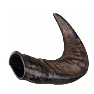 TRIXIE Büffel-Kauhorn groß