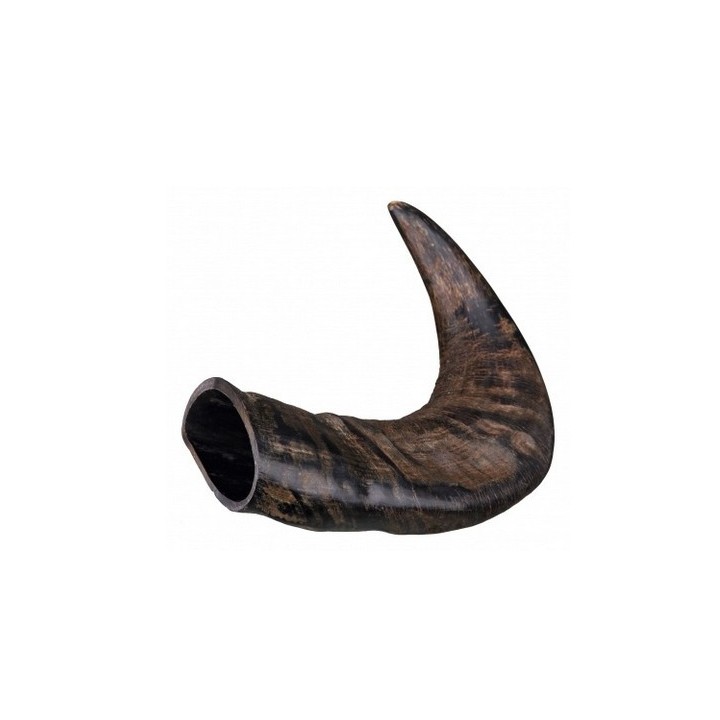 TRIXIE Büffel-Kauhorn groß