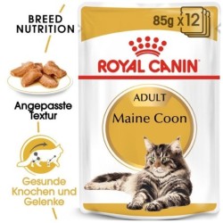 ROYAL CANIN Maine Coon Adult Katzenfutter nass 12 x 85 g