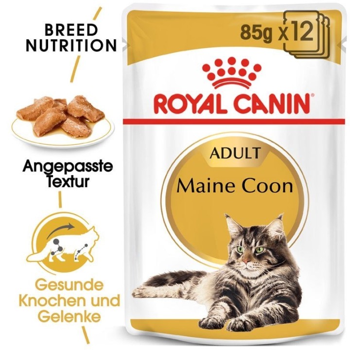 ROYAL CANIN Maine Coon Adult Katzenfutter nass 12 x 85 g