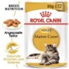 ROYAL CANIN Maine Coon Adult Katzenfutter nass 12 x 85 g