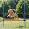 Trixie - Procyon Agility-Hürden-Set