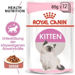 ROYAL CANIN KITTEN Nassfutter in Soße für Kätzchen 12x85g