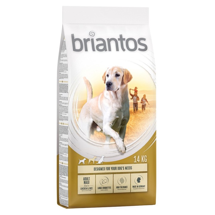 Briantos Adult Maxi - 14 kg