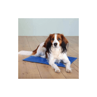 TRIXIE Kühlmatte 65 × 50 cm