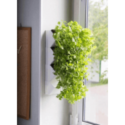AQUAEL Versa Garden Herbs grüne Wand Pflanzen-Wandmodul