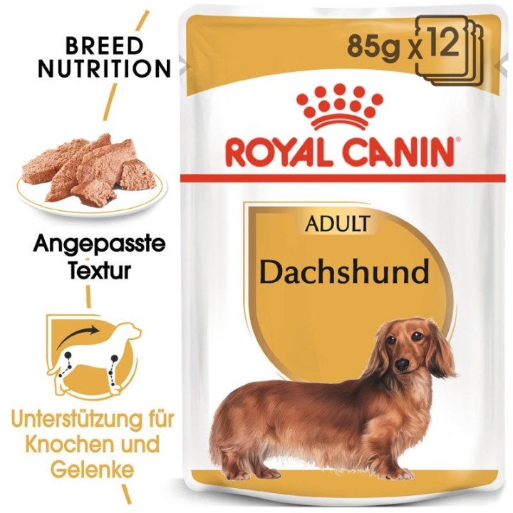 ROYAL CANIN Dachshund Adult Hundefutter nass für Dackel 12 x 85 g
