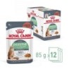 ROYAL CANIN Digestive Care Nassfutter in Soße für ausgewachsene Katzen mit empfindlichem Verdauungstrakt 12x85g