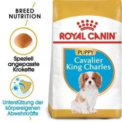ROYAL CANIN Cavalier King Charles Puppy Welpenfutter trocken 1,5 kg