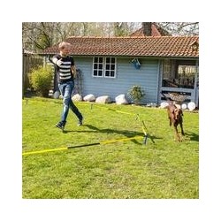 Schecker - Procyon Longier-Set für Hunde