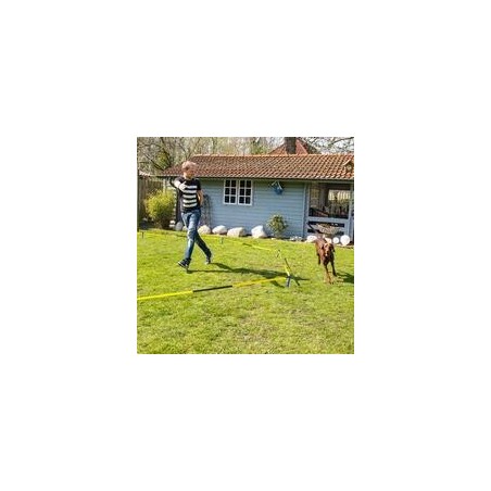 Schecker - Procyon Longier-Set für Hunde
